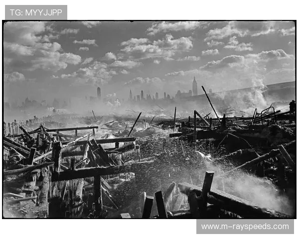 场边摄影师捕捉决定性瞬间:精彩动作照片的背后故事