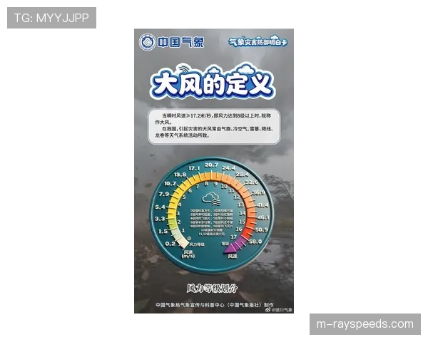 天气因素考量：预报显示比赛日有大风，可能影响长传转换的精度